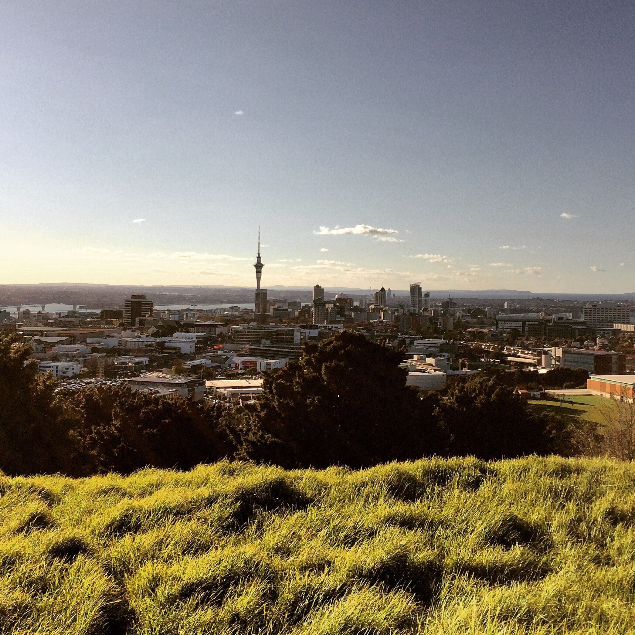 View over Auckland from Mt Eden. Great place to relax and enjoy in beautiful scenery...