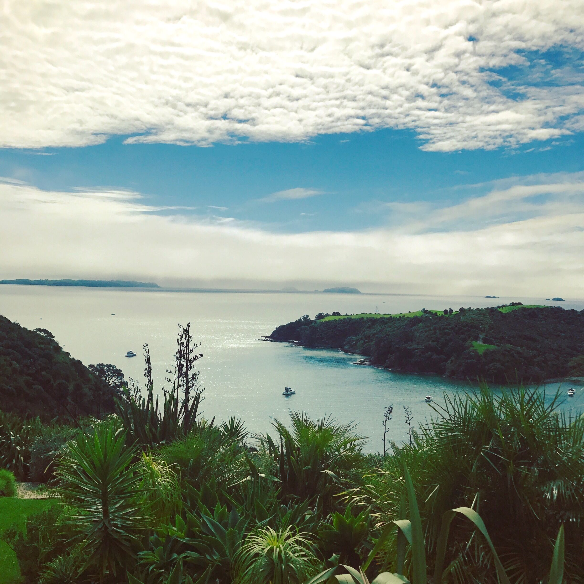 Delamore lodge on Waiheke Island - 