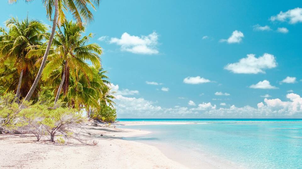 Beach paradise travel vacation tropical getaway in Rangiroa atoll, Tuamotu islands, French Polynesia. Tahiti honeymoon destination with idyllic pristine ocean crystal clear turquoise water.