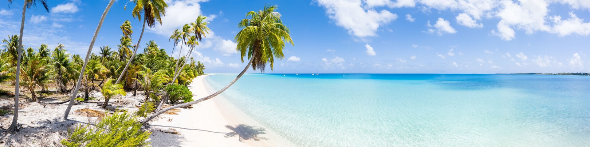 Tropical beach on Fakarava, Tuamotu Archipelago, French Polynesia