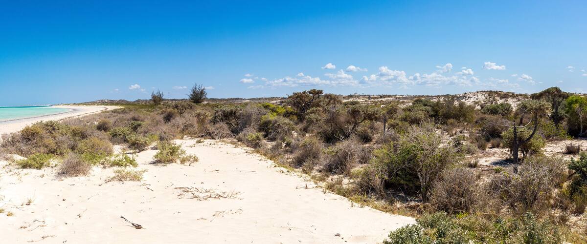 A sandy beach with sparse vegetation and a clear blue sky.