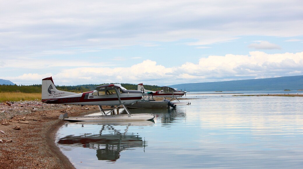 King Salmon showing aircraft and a lake or waterhole
