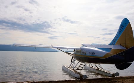 Vuelos baratos desde $993 de Houston a King Salmon Expedia