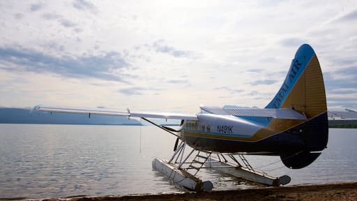 King Salmon mostrando un lago o espejo de agua y avión