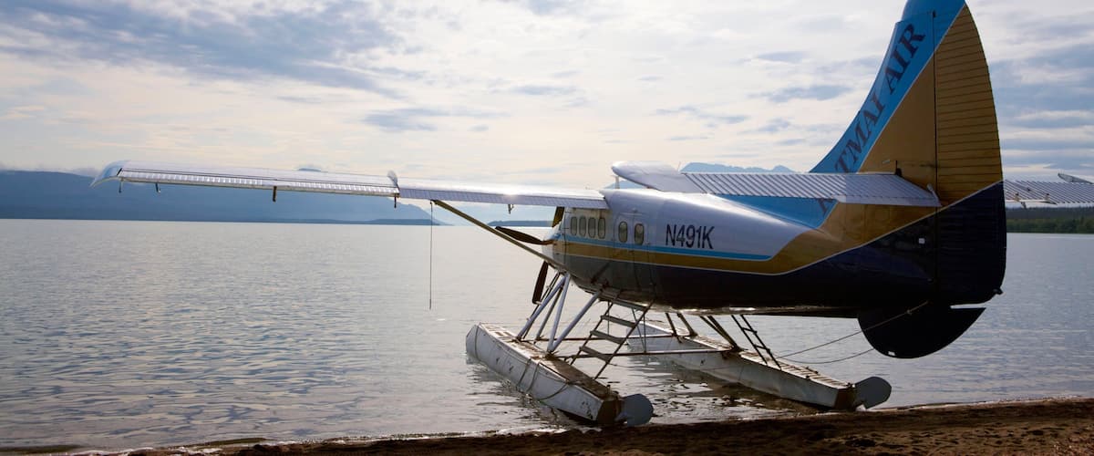 A seaplane with the registration N491K parked on a lake.