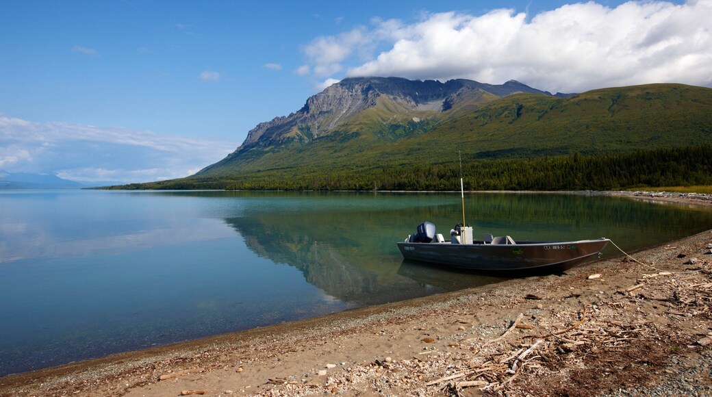 King Salmon showing a lake or waterhole and mountains