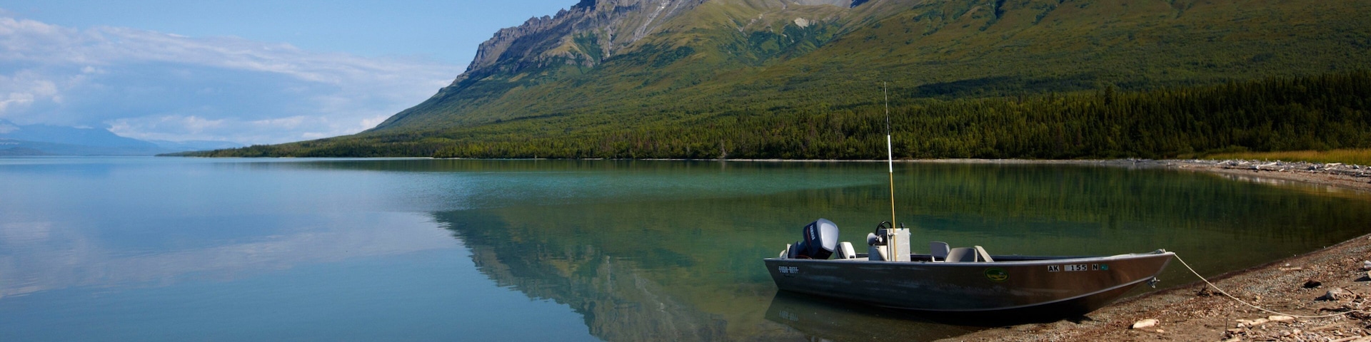 King Salmon mostrando um lago ou charco e montanhas