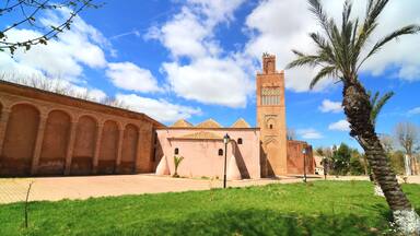 Un edificio histórico con ventanas arqueadas y una torre alta, rodeado de césped y palmeras.