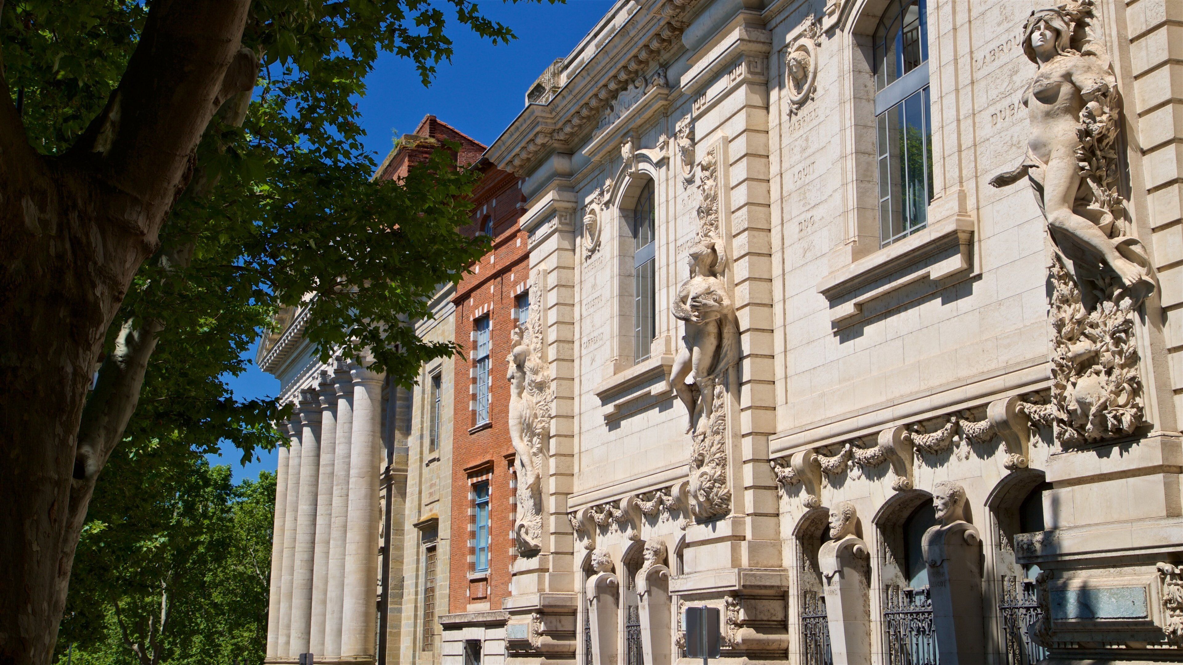 Toulouse showing heritage elements