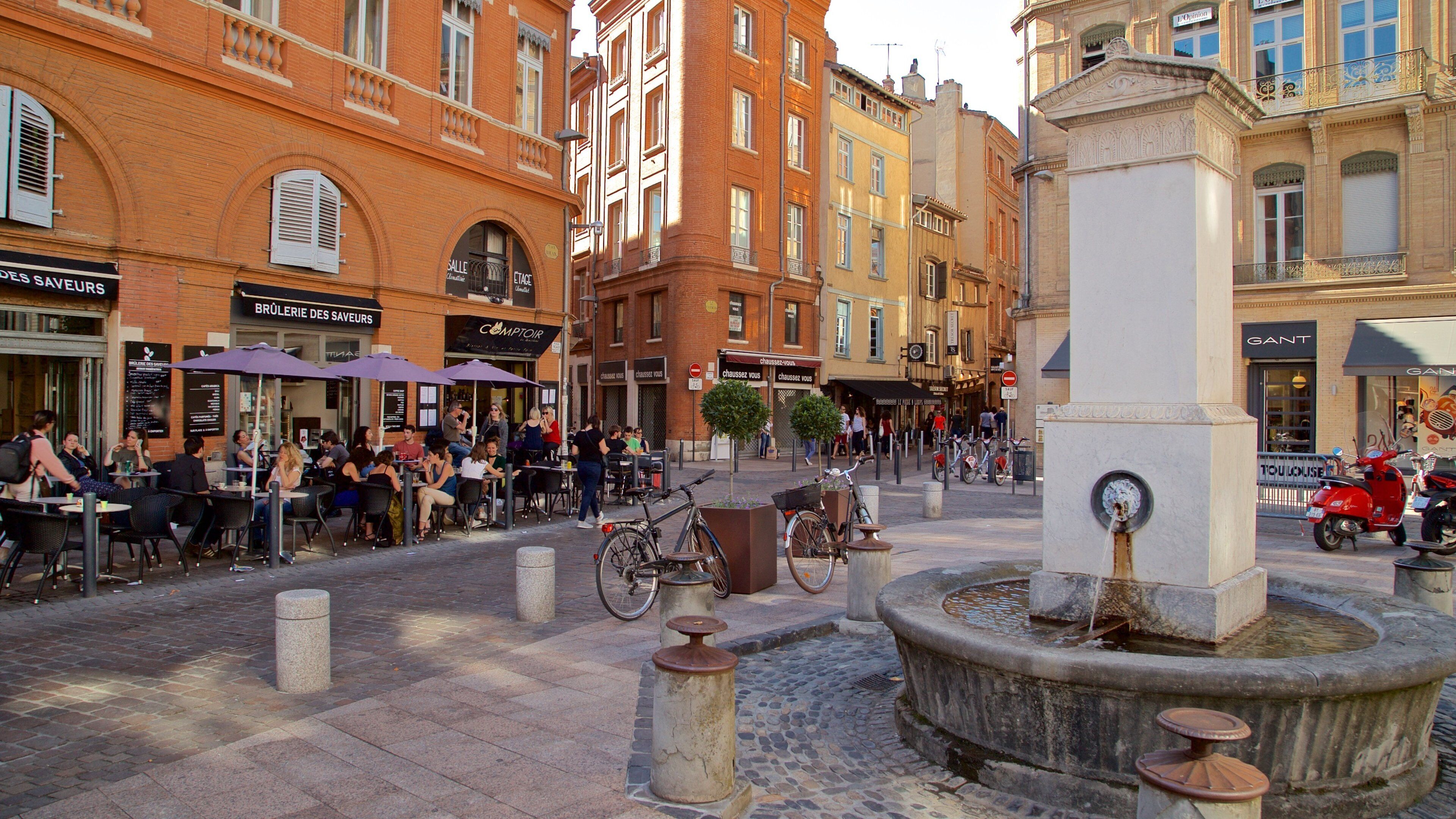 Toulouse which includes a city, a fountain and outdoor eating