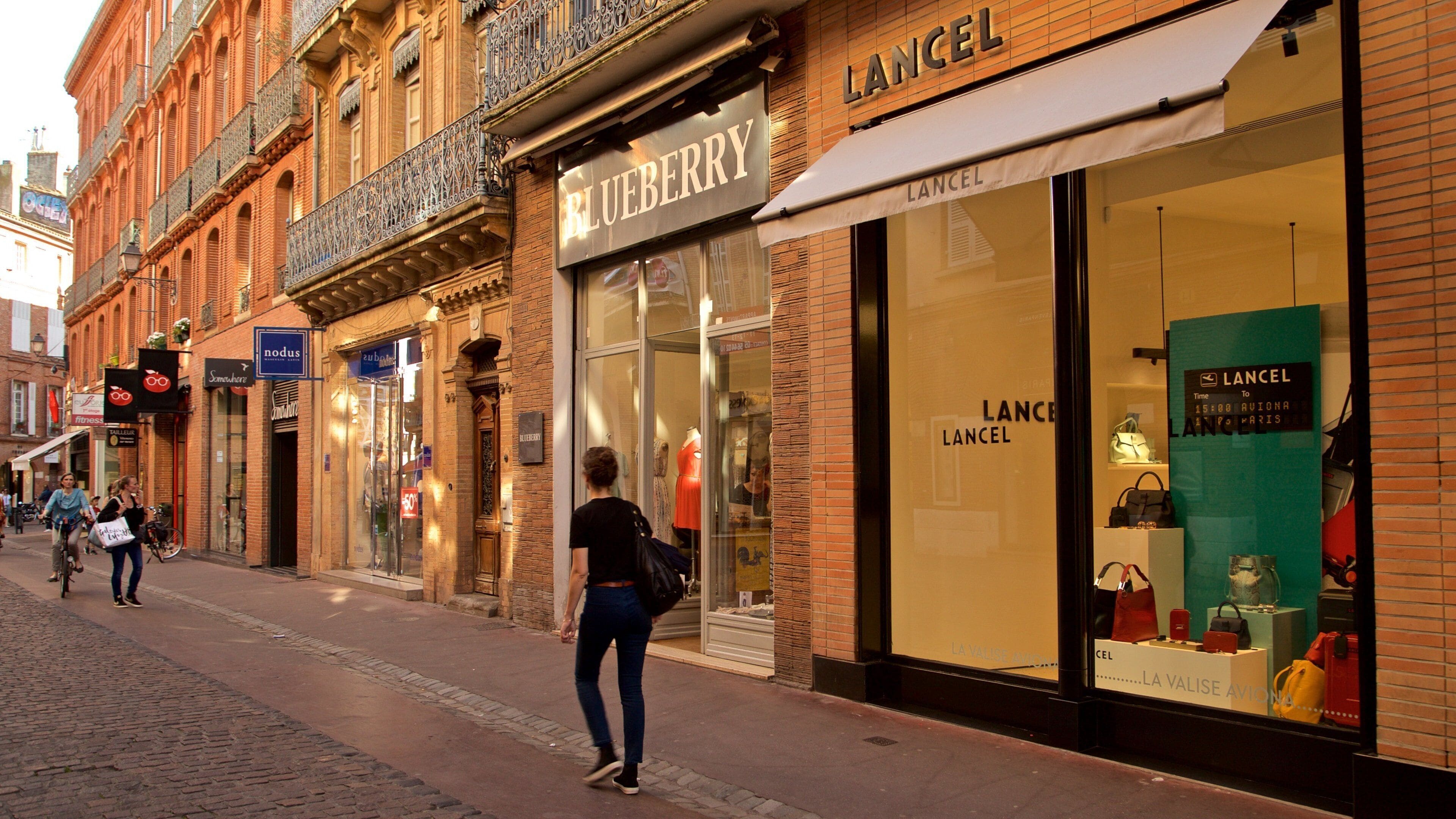 Toulouse featuring street scenes and a city as well as an individual female