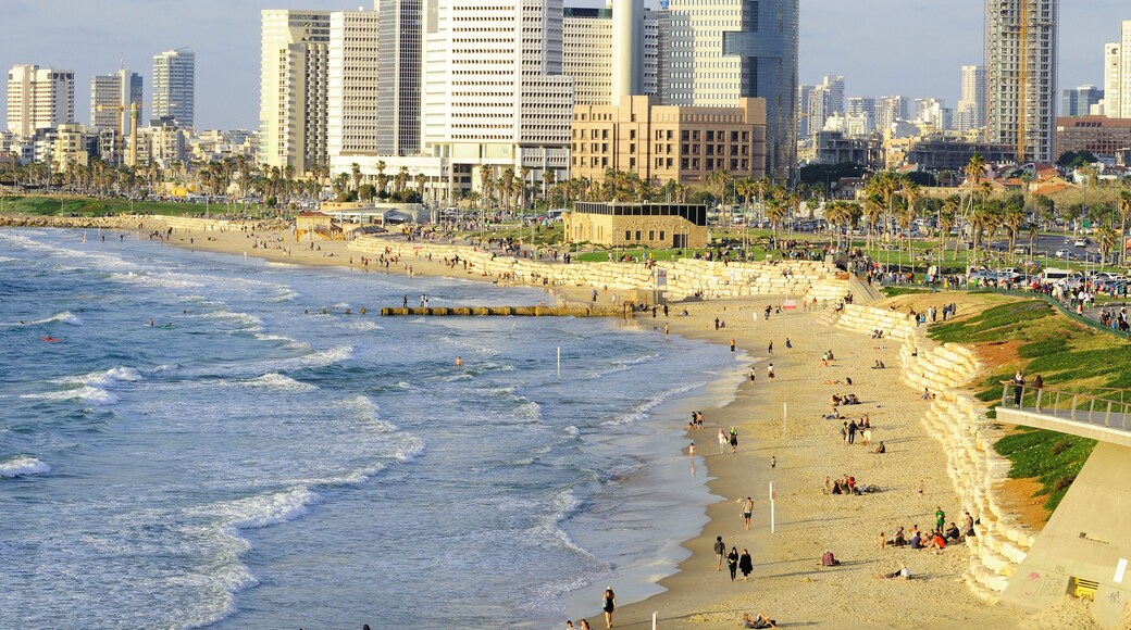 Paisagem costeira com praia, palmeiras e edifícios altos.