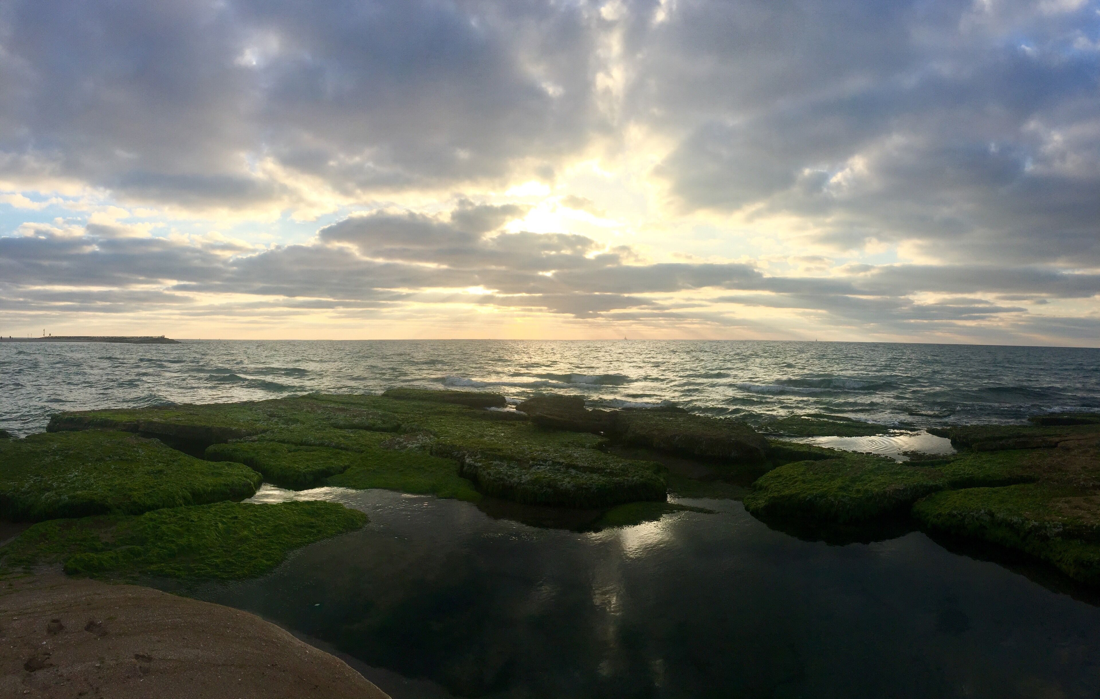North Tel Aviv and accessible via the Promenade that runs along the Tel Aviv coastline