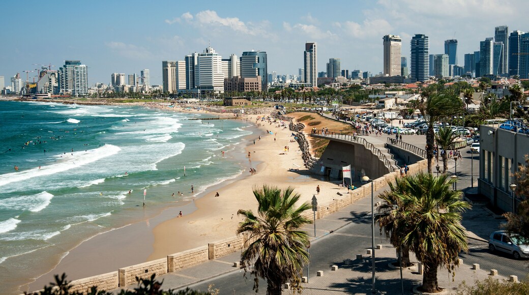 Sea coast and the view of the Tel Aviv