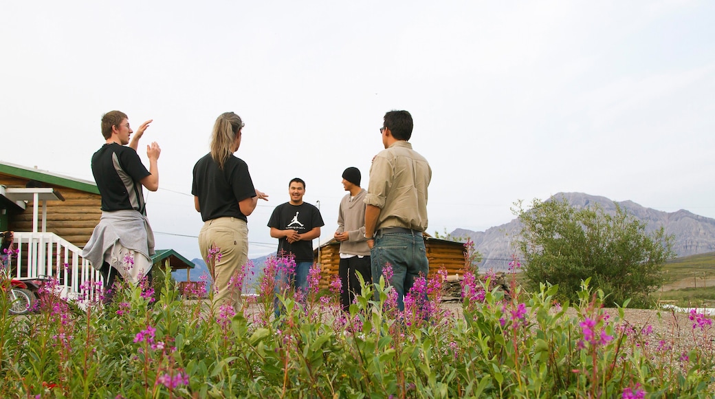 Anaktuvuk Pass featuring flowers and tranquil scenes as well as a small group of people