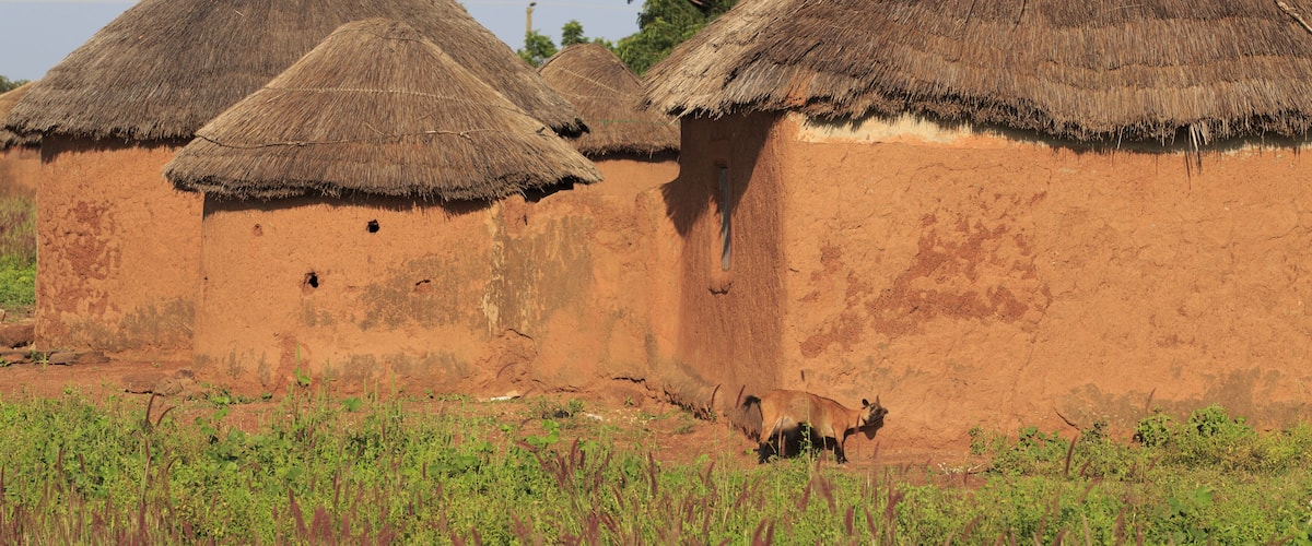 Traditional thatched-roof huts in a rural setting with a clear sky.