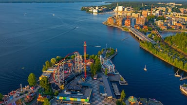 An amusement park with roller coasters and a Ferris wheel by a waterfront.