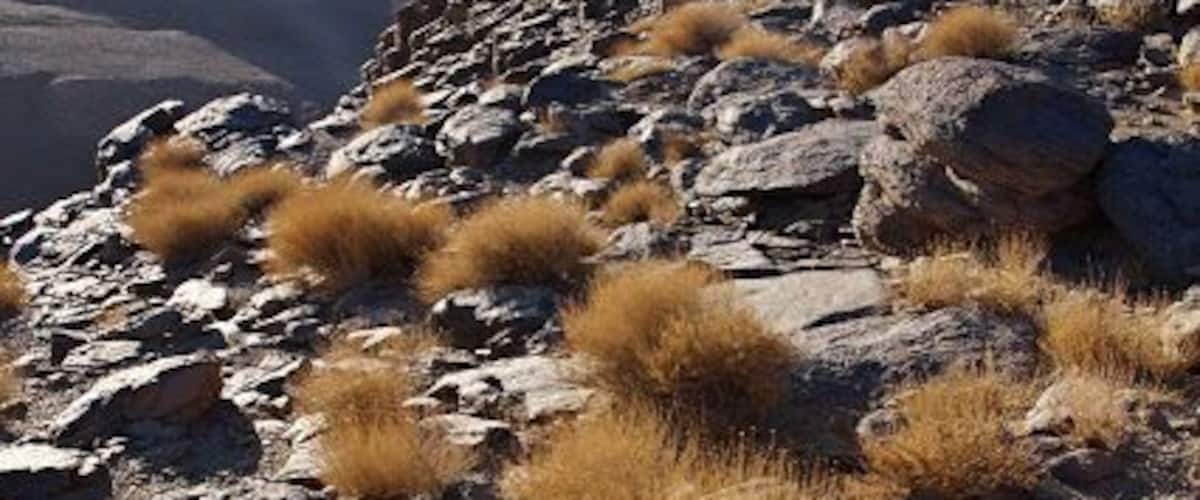 April 2011
Sahara in Algeria, heart of it in Assekrem Aka End of the world for Touareg