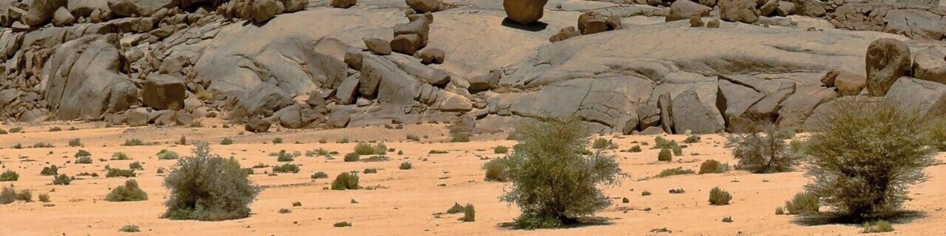 A rocky desert landscape with a prominent rock formation.