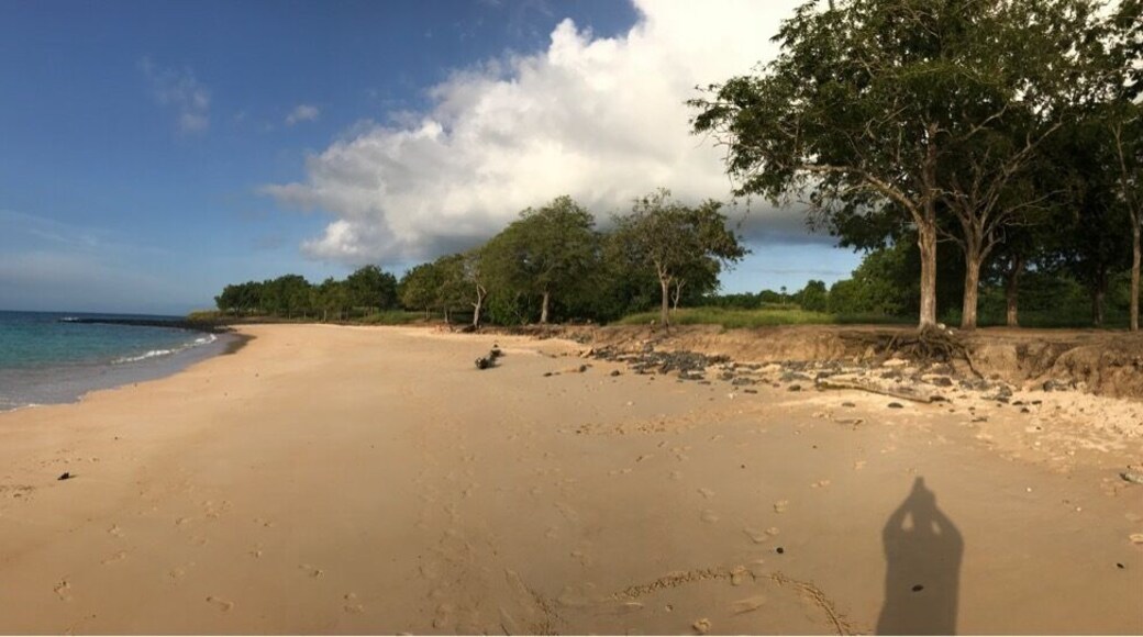 So beautiful beach... Quite difficult to reach, but you have to go...