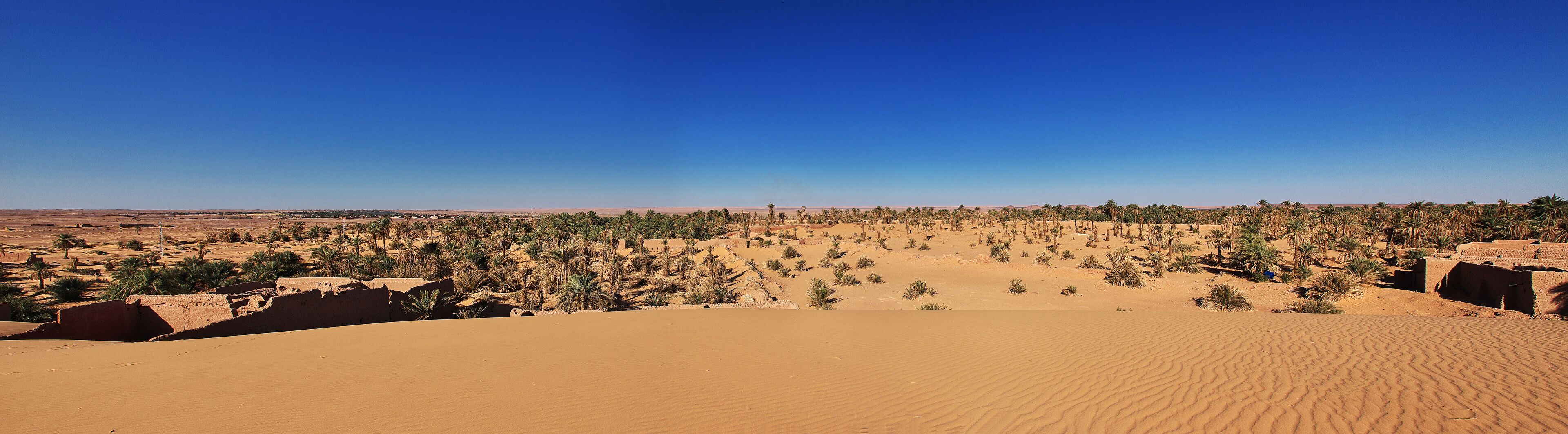 A desert landscape with sand dunes and scattered palm trees.