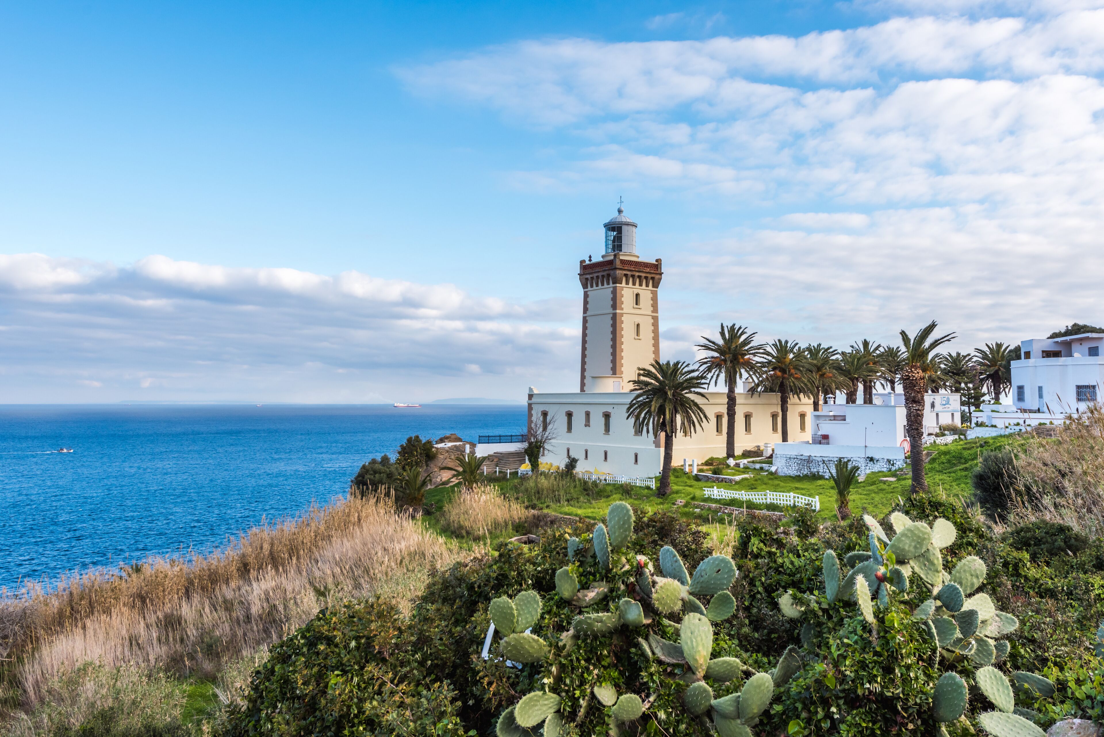 Un paisaje costero con un faro, edificios blancos y un cactus en primer plano.