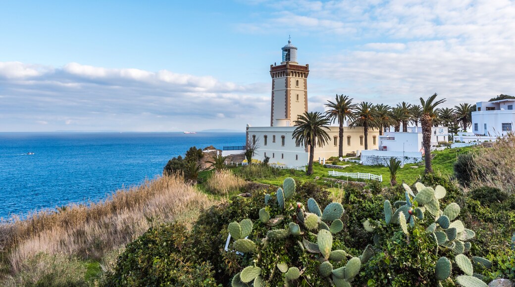 Un paysage côtier avec un phare, des bâtiments blancs et un cactus au premier plan.