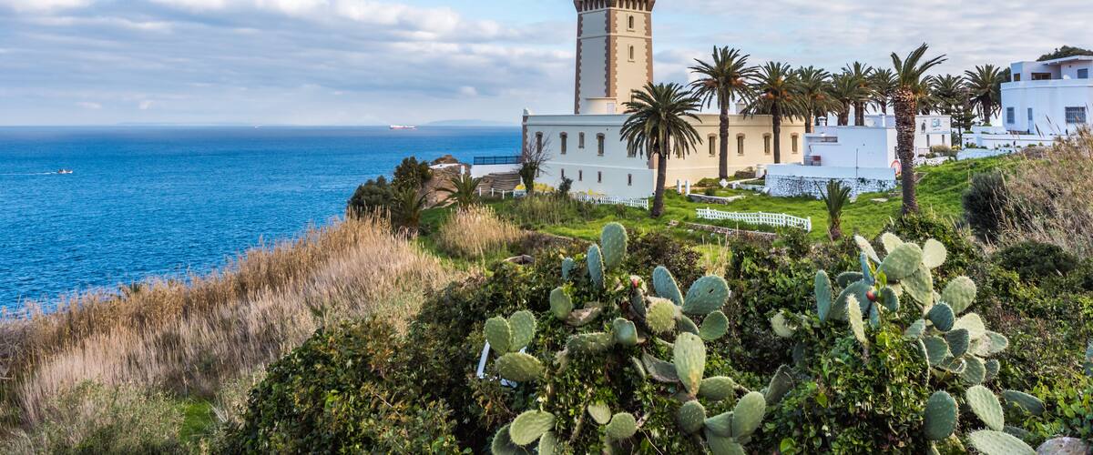 A coastal landscape with a lighthouse, white buildings, and a cactus in the foreground.