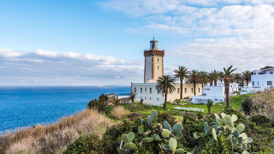 Un paisaje costero con un faro, edificios blancos y un cactus en primer plano.