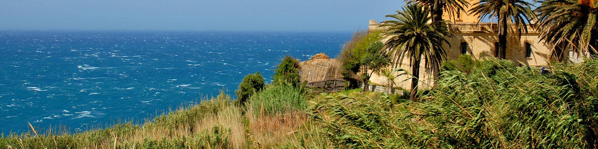 A coastal lighthouse with palm trees and the ocean in the background.