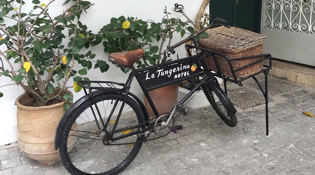 The Hotel Tangerine Morocco #Culture