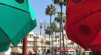 Enjoying the view and Moroccan tea at Café Havana in the heart of Tangier.