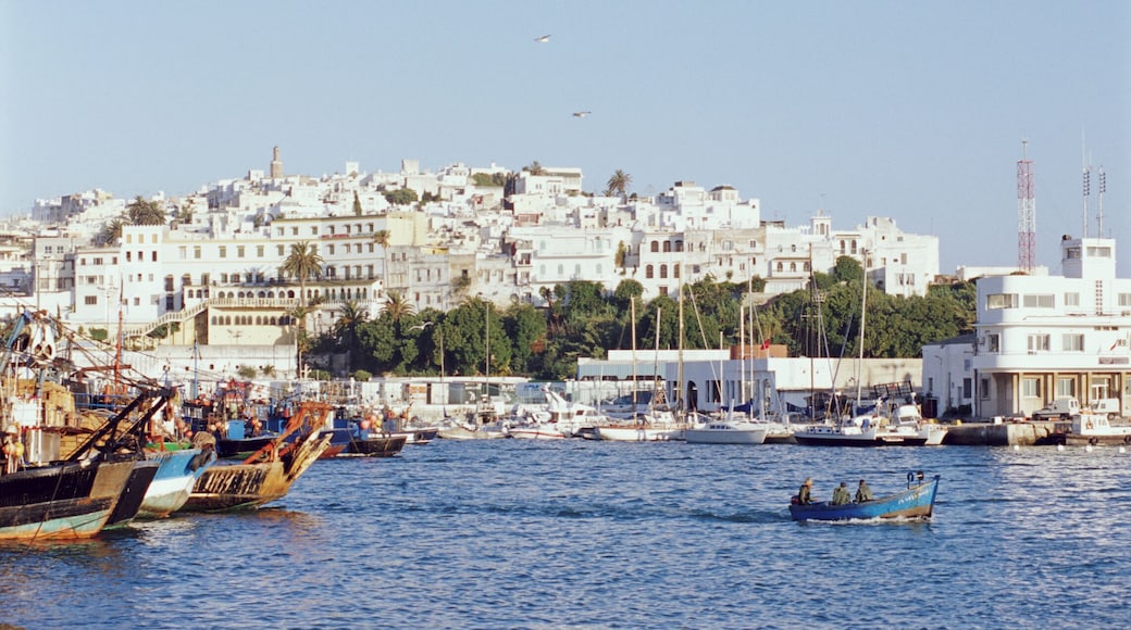 Morocco, Tangier, view of Old City from harbour