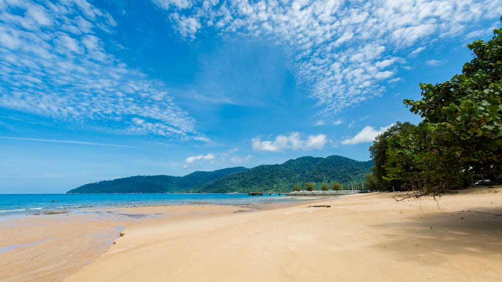 A beach with a clear sky, sandy shore, and a forested hill in the background.