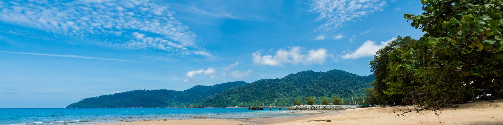 A beach with a clear sky, sandy shore, and a forested hill in the background.