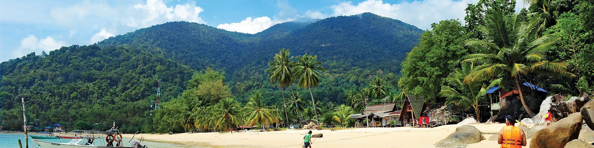 A tropical beach with clear waters, palm trees, and a mountain in the background.