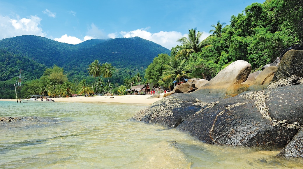 Johor Bahru which includes general coastal views, a sandy beach and tropical scenes