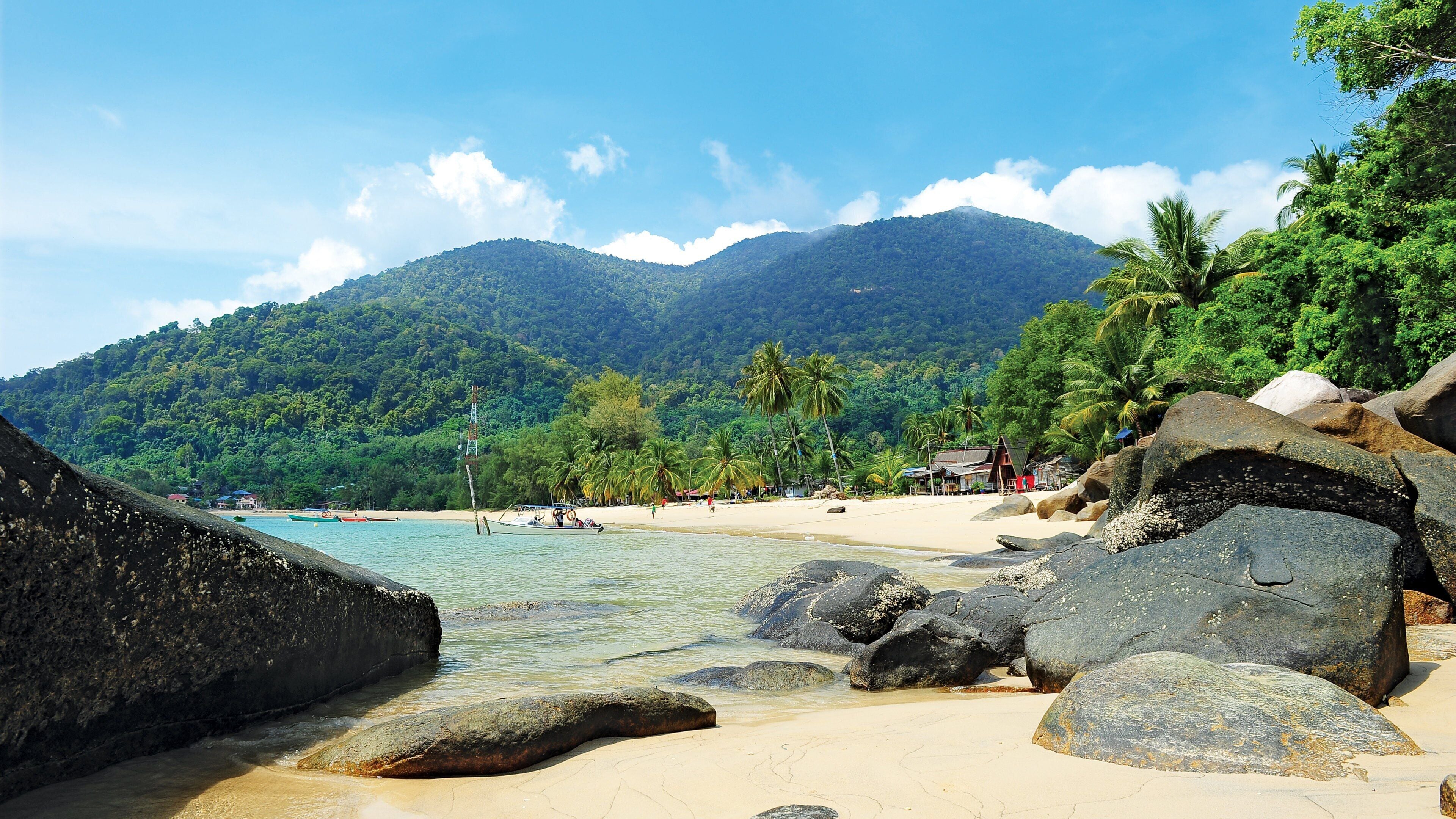 Tioman Island showing a beach and general coastal views