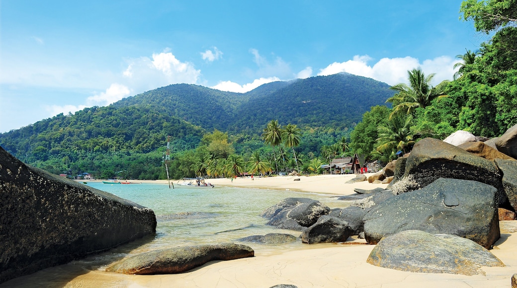 Tioman Island showing a beach and general coastal views