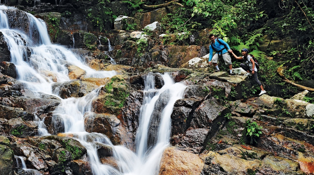 Johor Bahru which includes a river or creek, hiking or walking and a waterfall