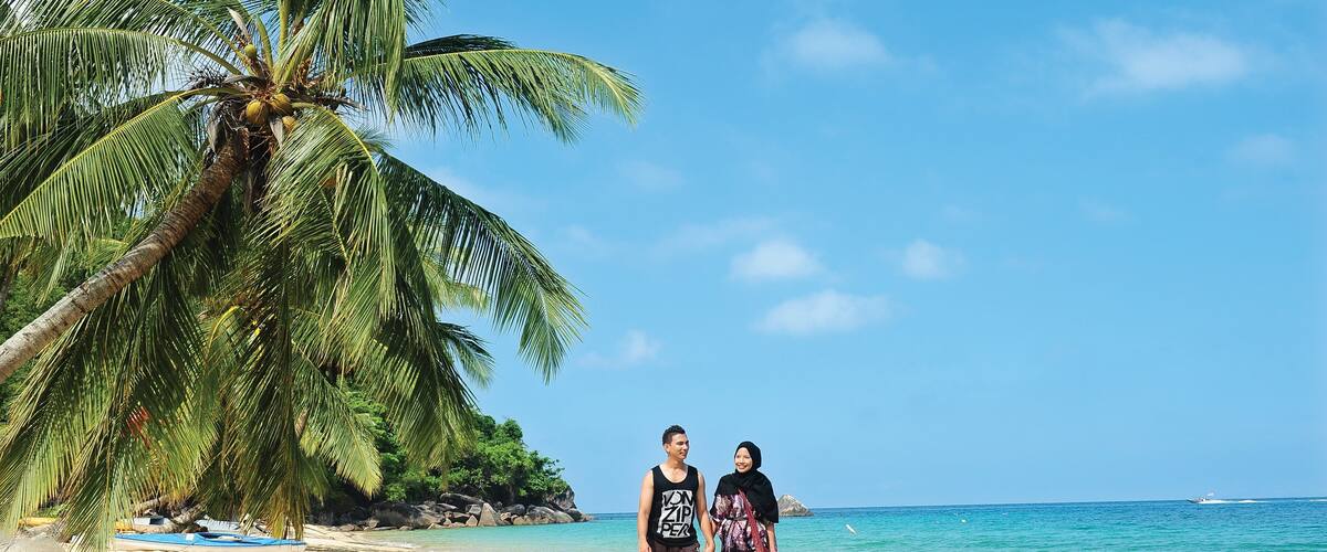 A beach with palm trees and clear blue water.