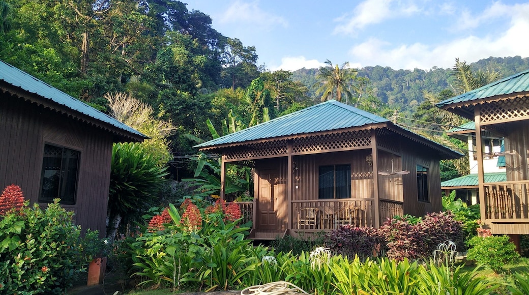 Tioman island, well known with the ocean but their forest can amazed you. All you need in Tioman island is just a pair of hiking boots and swimsuit. Travelling can be very different if you change your view.
#lifeatexpedia