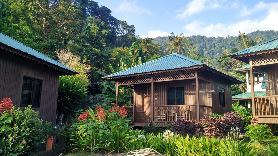 Tioman island, well known with the ocean but their forest can amazed you. All you need in Tioman island is just a pair of hiking boots and swimsuit. Travelling can be very different if you change your view.
#lifeatexpedia