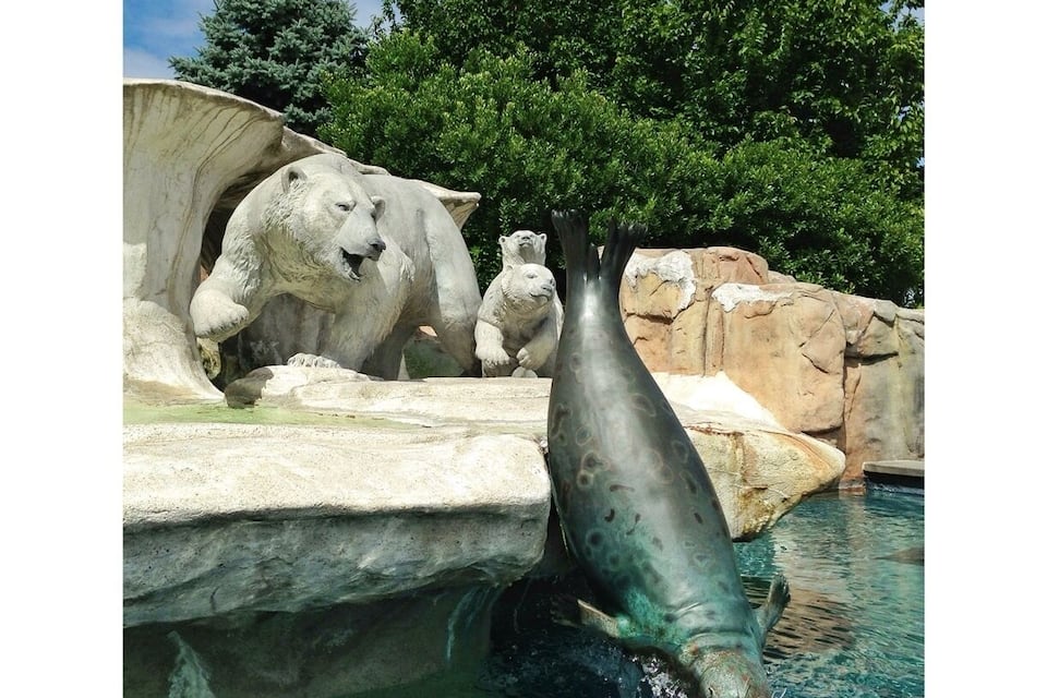 A polar bear and a seal in a zoo enclosure with rocky terrain and trees in the background.
