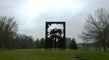 'Monument to a Tree'