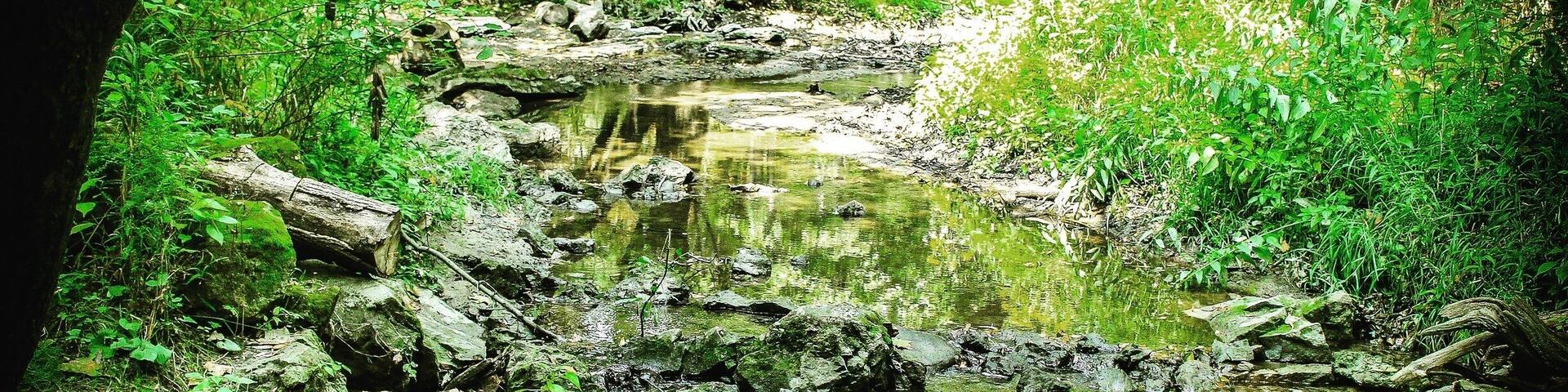 Lots of trails, go early and run across the deer.