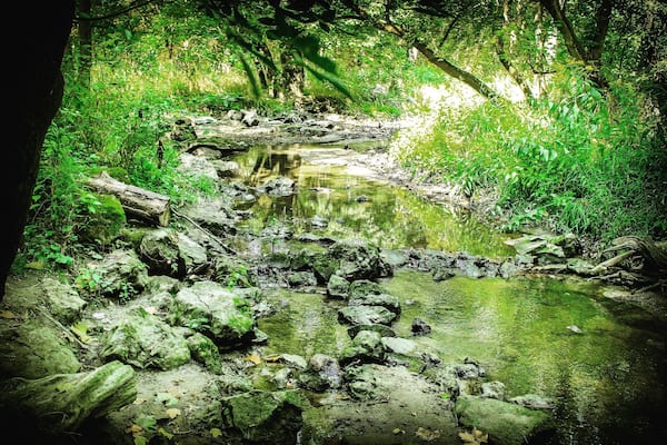 Lots of trails, go early and run across the deer.