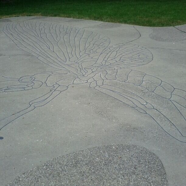 An odd tribute to the Junebug/Mayfly.