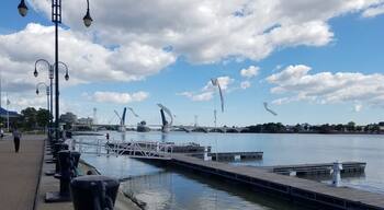 A nice park to stop for lunch and watch the ships coming into the Maumee river from Lake Erie.