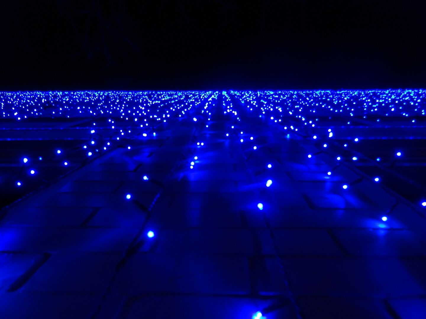 Some of the 180 thousand lights on display @hensville near the @mudhens stadium along St. Clair street!

Check them out any evening into the new year. 

Also, there is a 20-minute light show synced to music on 103.3 FM at the top and bottom of the hours. 